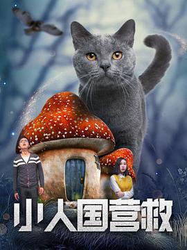 国产精品不卡在线