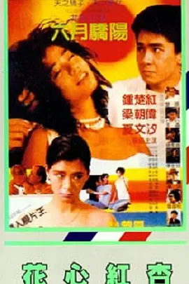 终极女保镖完整版观看