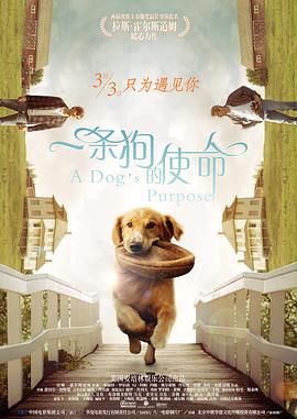 丁香花激情六月