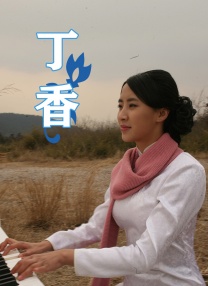 完美组合