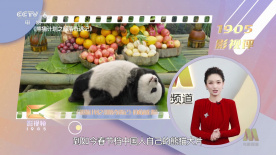 粉红床的变态性浴4